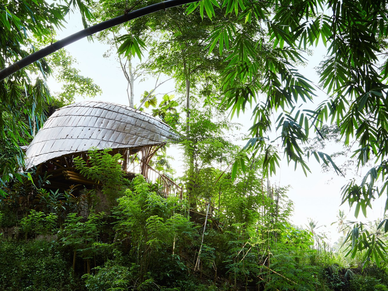 Illustration for article titled Built almost entirely of bamboo, this is one of the world's most sustainable and spiritual hotels
